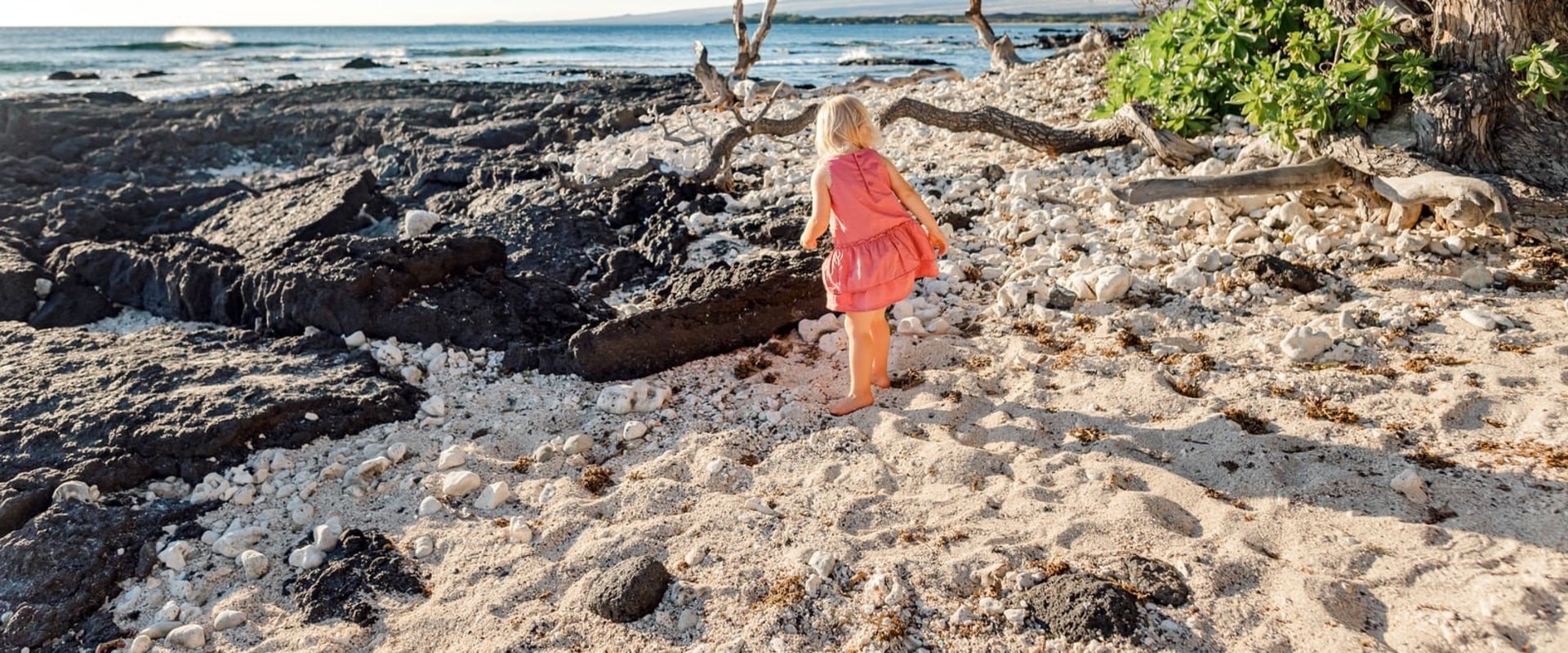What is the Average Cost of a Wedding Photographer in Kailua-Kona, Hawaii?