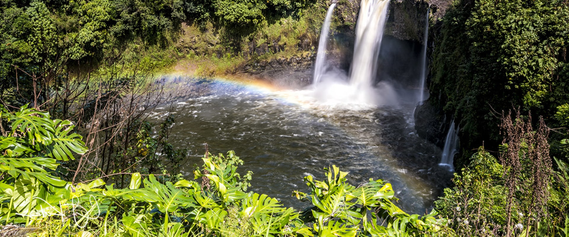Capture the Beauty of Hawaii with a Wildlife Photographer in Kailua-Kona