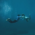 Capture Unforgettable Underwater Photography in Kailua-Kona, Hawaii
