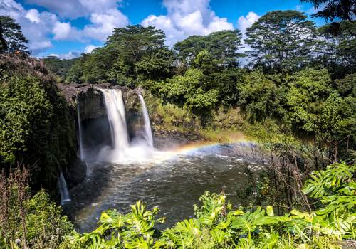 Capture the Beauty of Hawaii with a Wildlife Photographer in Kailua-Kona
